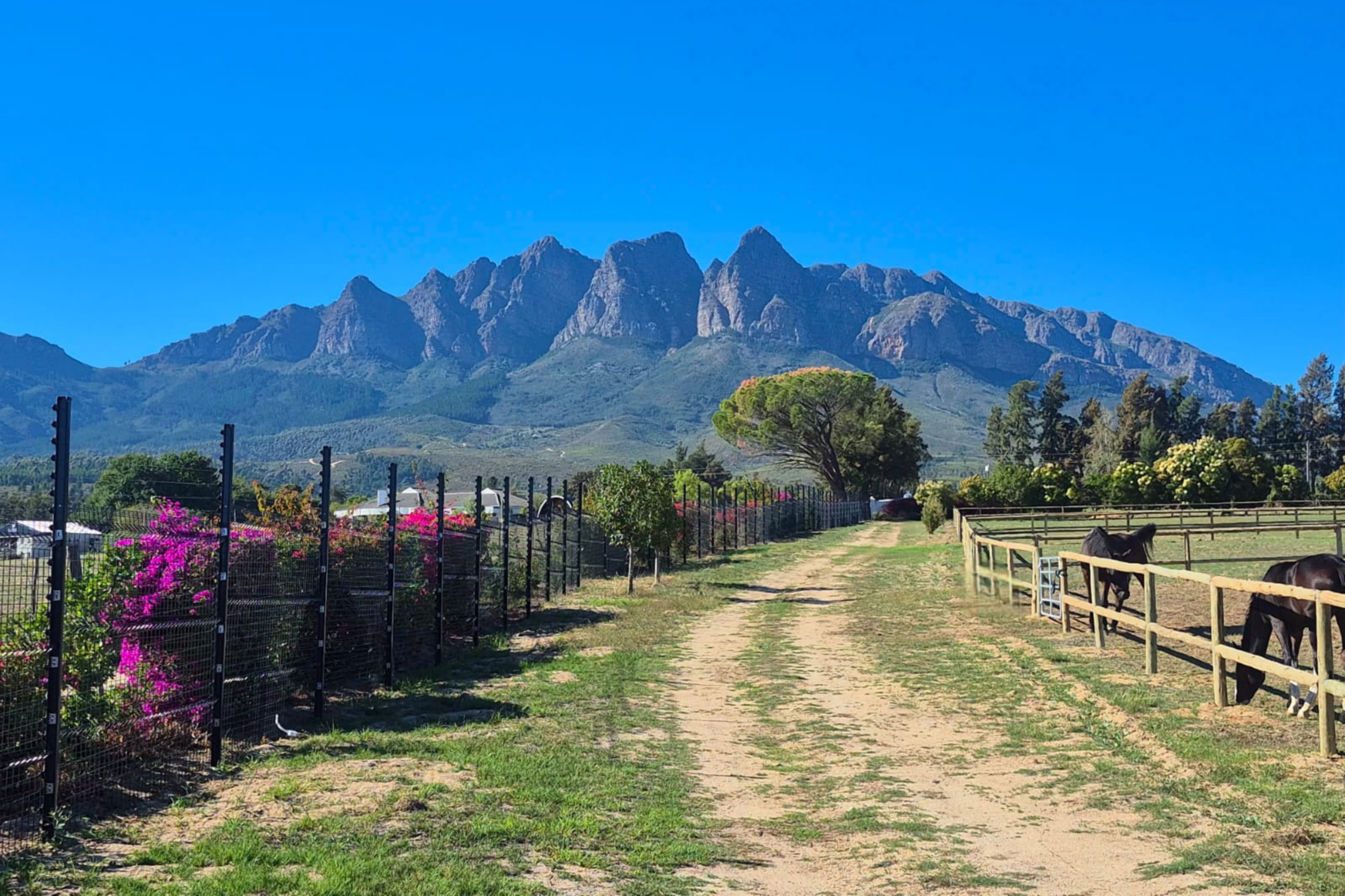 Five Mountains Guest Farm & Spa