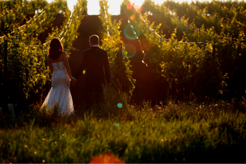 Five Mountains Guest Farm & Spa